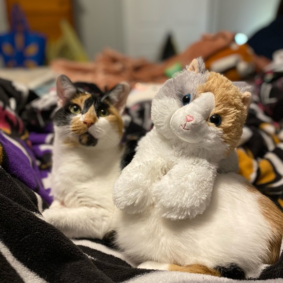 Meet your Posher, Kara ☮️ ❤️ - Picture 5 of 5